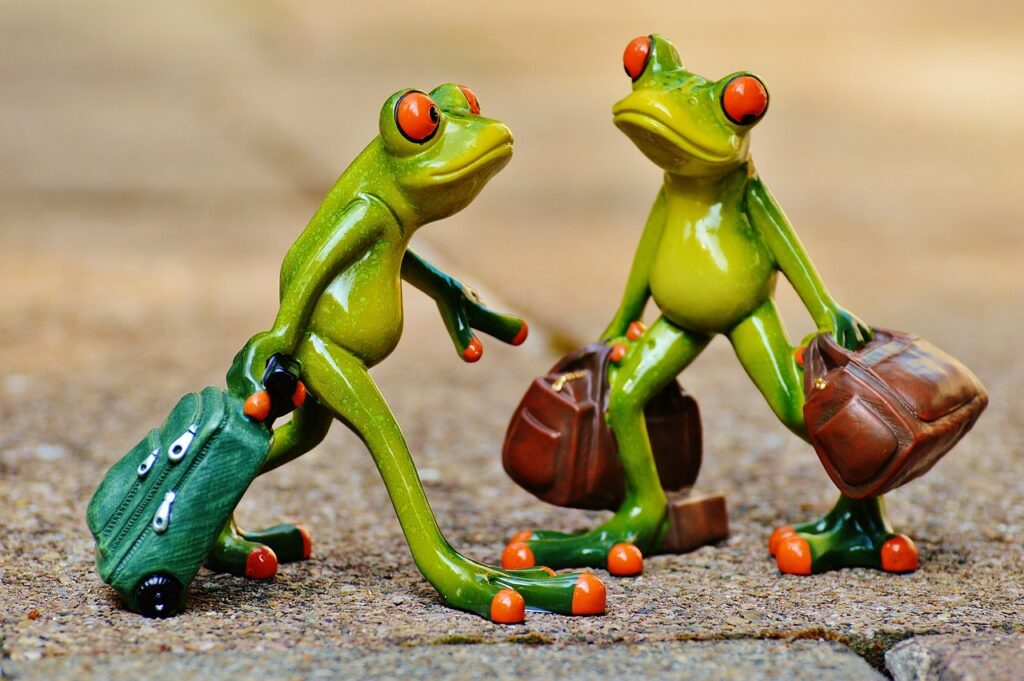 frogs, nature, fun, travel, suitcase, travel bag, vacations, frog, on the way, animal, figure, cute